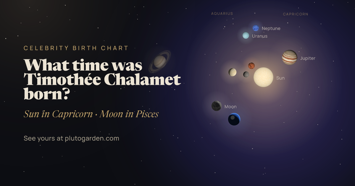 What time was Timothée Chalamet born?: the sky at that moment drawn in 3D, with Capricorn Sun, Pisces Moon
